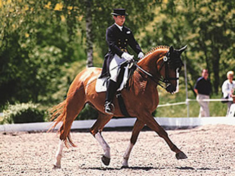 Isa auf Armstrong