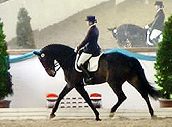Isa auf Landwind