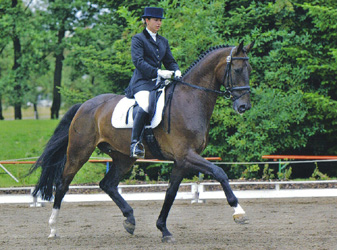 Isa auf Leopard